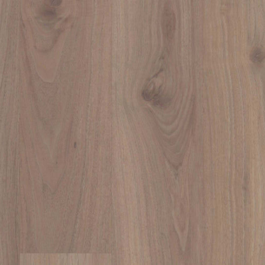 COREtec Premium in Aver Walnut
