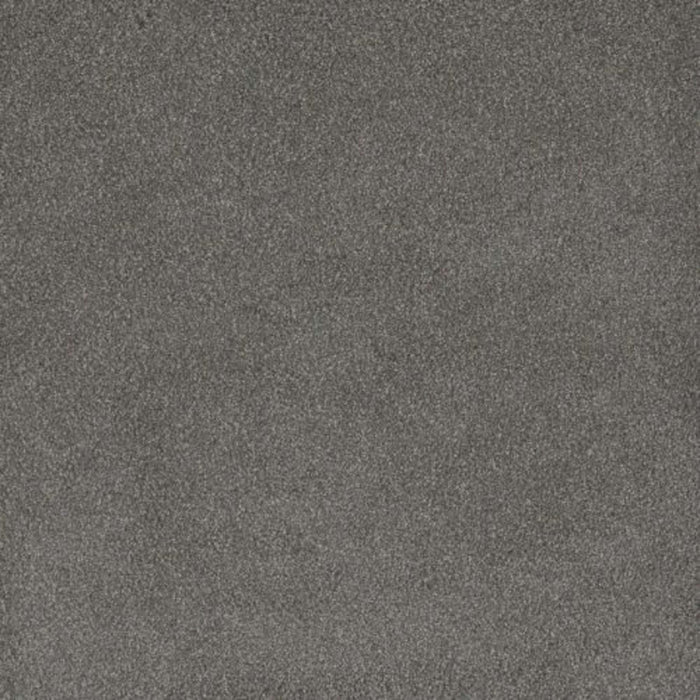 PALMETTO III in Bay Leaf Carpet