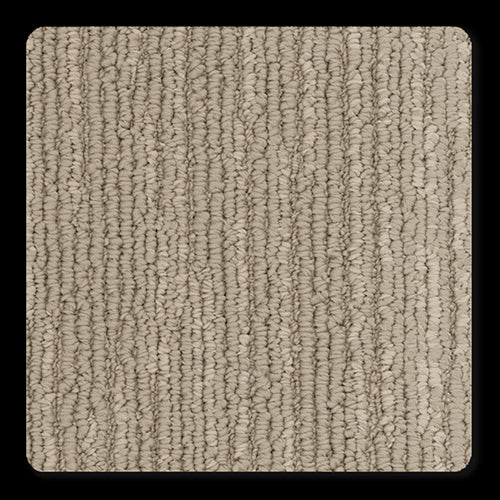 Branson in Beautiful Carpet