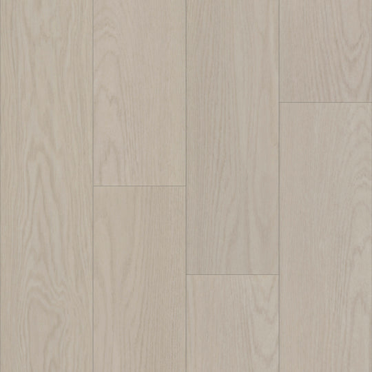 Bravo in Corba Oak