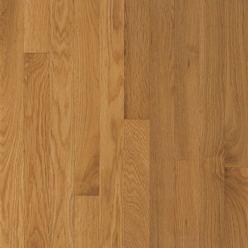 Waltham White Oak Solid in Cornsilk 2.25"