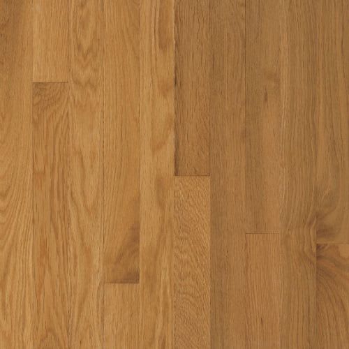Waltham White Oak Solid in Cornsilk 3.25" | Bruce