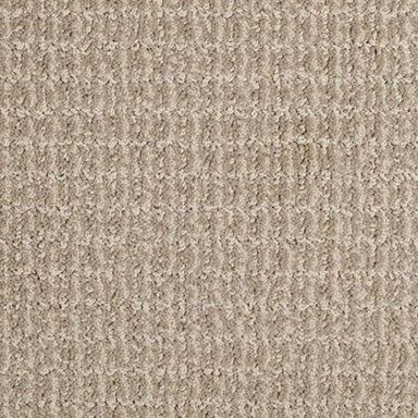 Nice Way in Cliffs Carpet