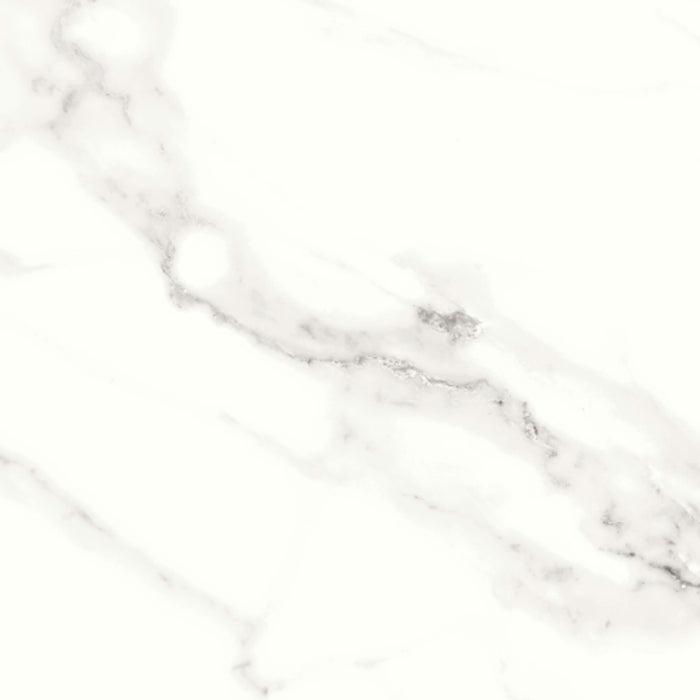 Contessa in Dama 24" X 24" Tile