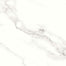 Contessa in Dama 11" X 23" Polished Tile