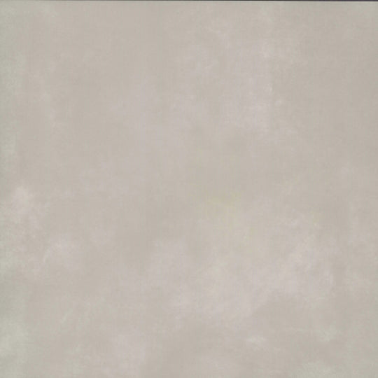 Cosmopolitan in Ecru 24" X 24"