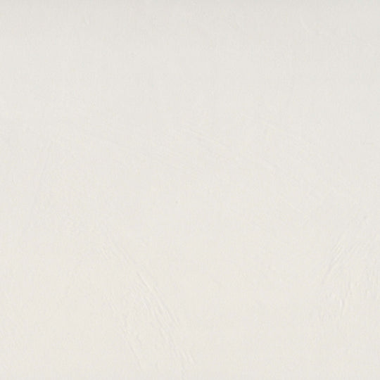 Council in Ivory 12" X 24" Matte