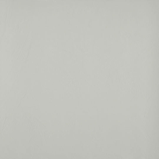 Council in Silver 24" X 24" Matte