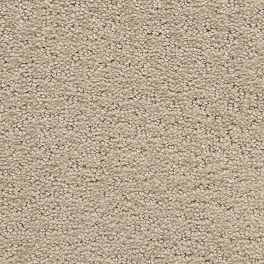 Reward  in Accolade Carpet