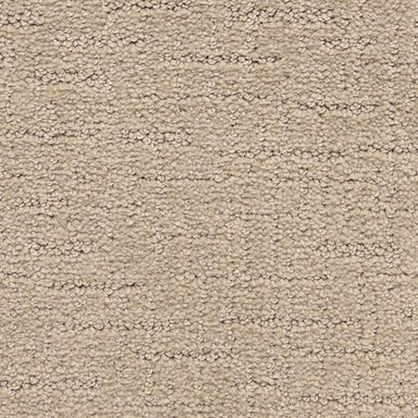 Superior  in Accolade Carpet