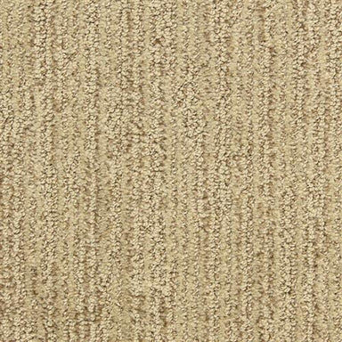On Target in Accolade Carpet