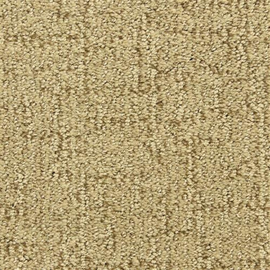 New Castle in Accolade Carpet