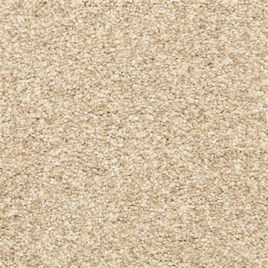 Natural Beauty in Almond Carpet