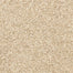 Natural Beauty in Almond Carpet