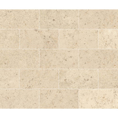 Parksville Stone in Kalahari Beige 3x6 Natural Stone