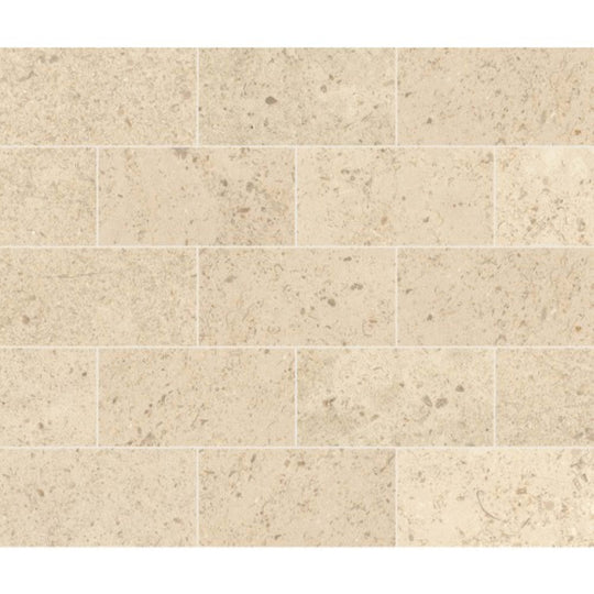 Parksville Stone in Kalahari Beige 3x6