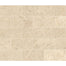 Parksville Stone in Kalahari Beige 3x6 Natural Stone