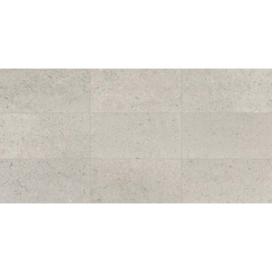Center City in Delancey Grey 4x12 Polished Natural Stone