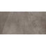 Delegate in Light Grey 12x24 Tile