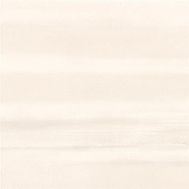 Silhouette in Figure - 12x24 Tile