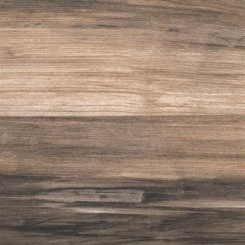 Theory in Brown 8"x45"