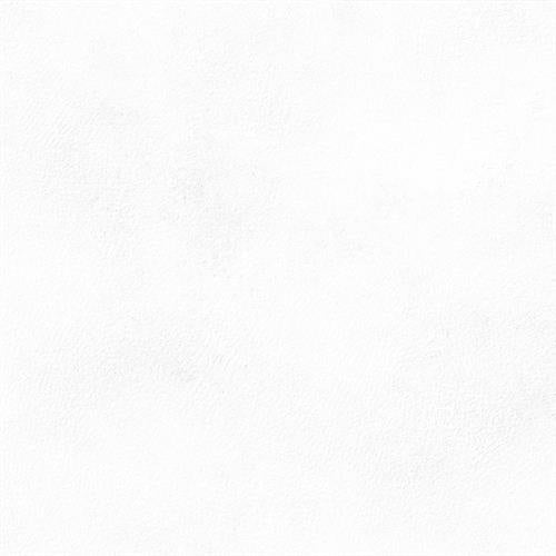 Citizen in Civilian - 24x48 Matte