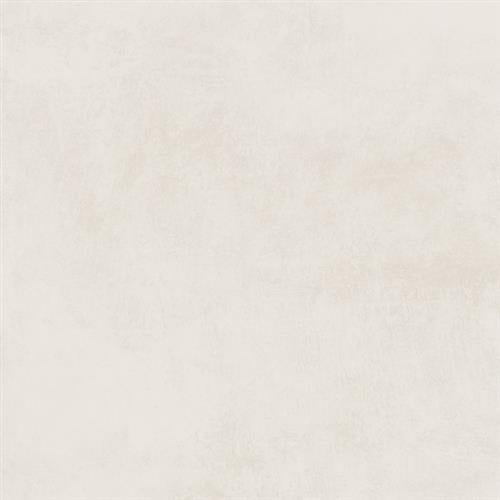 Citizen in Elector - 24x24 Lappato Tile