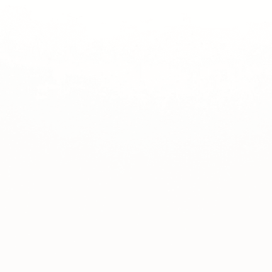 Style II in Pure White Matte 24" X 47" Tile