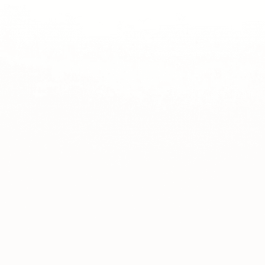 Style II in Pure White Matte 24" X 47"