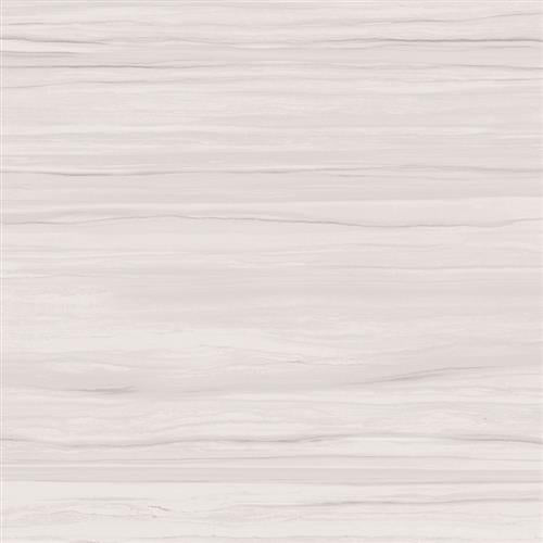 Ciudad in Ash 12"x24"