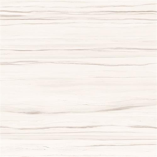 Ciudad in Cream 12"x24"