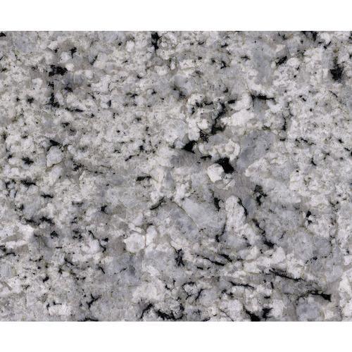 Natural Stone Slab - Granite in Palladium White
