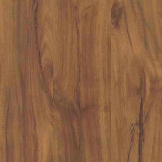 COREtec Classics in Gold Coast Acacia