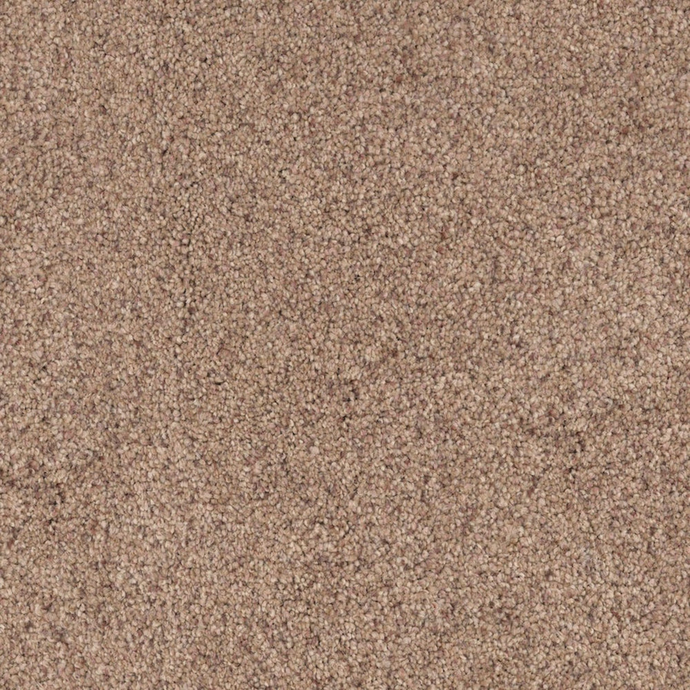 Maverick  in Bark Carpet