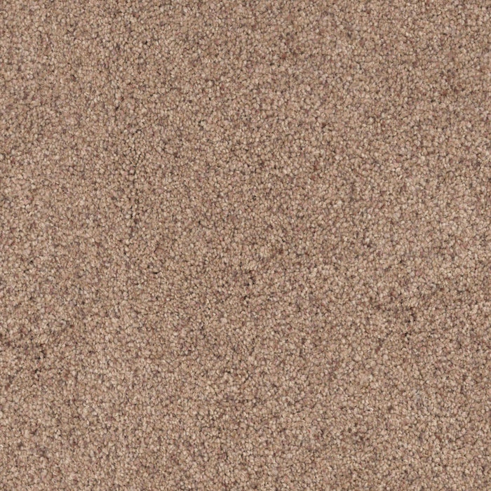 Maverick  in Bark Carpet