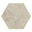 Scripter in Hero Hex Tile