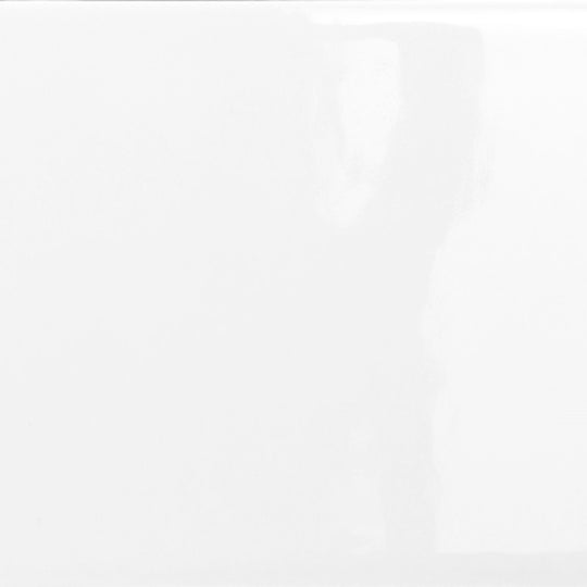 Catch in Ice Glossy 3" X 6"