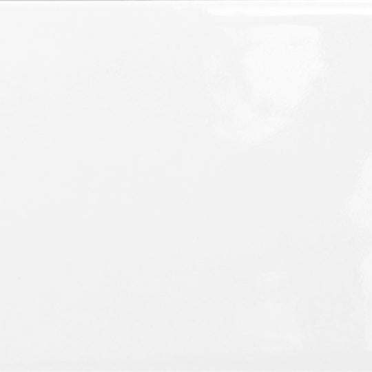 Catch in Ice Glossy 4" X 16"