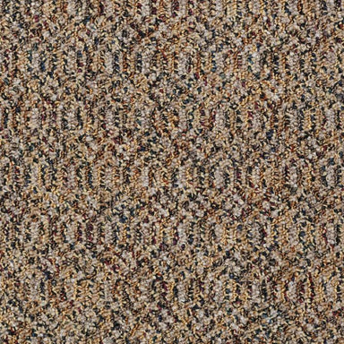 Relay in 5k Carpet