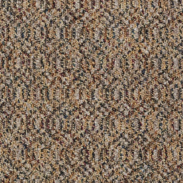 Relay in 5k Carpet