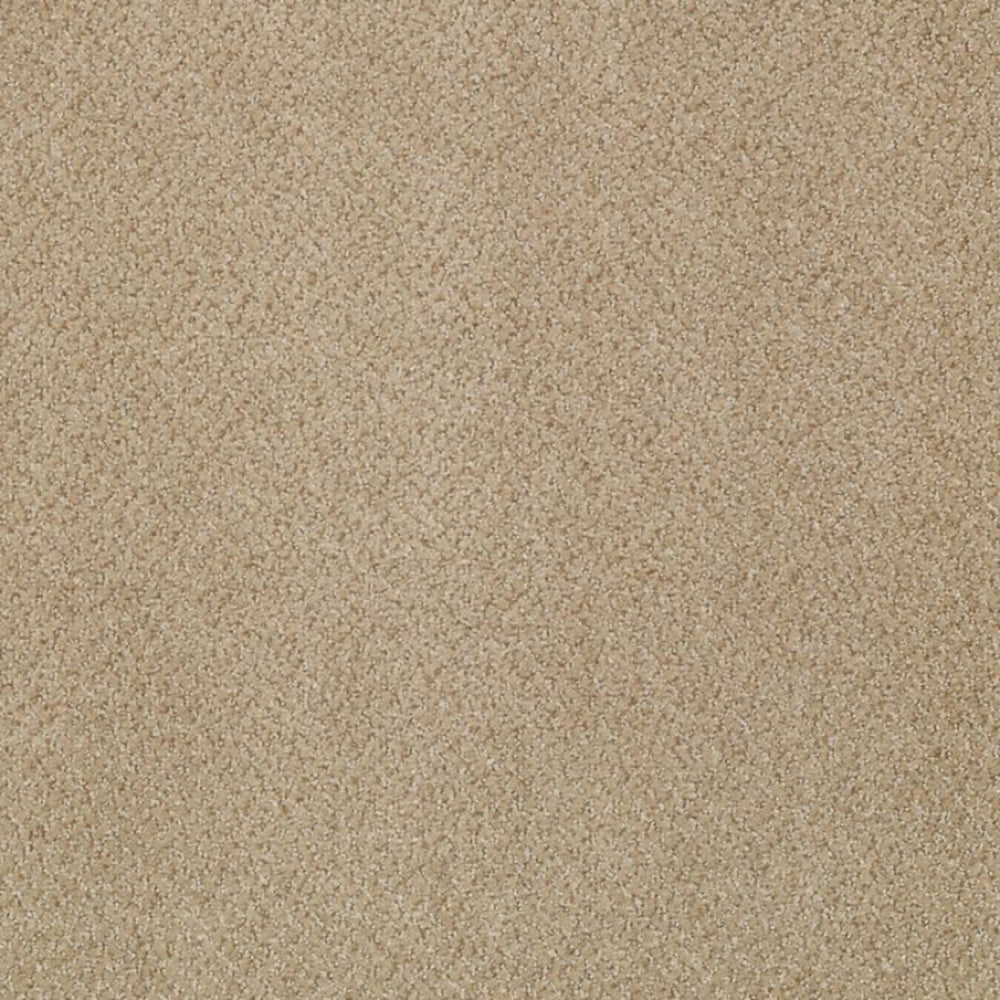 Prestige in Authority Carpet