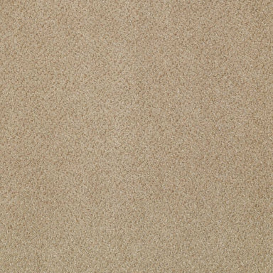 Prestige in Authority Carpet