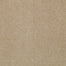 Prestige in Authority Carpet