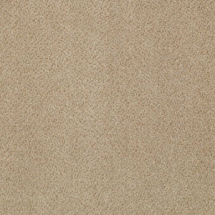 Prestige in Authority Carpet