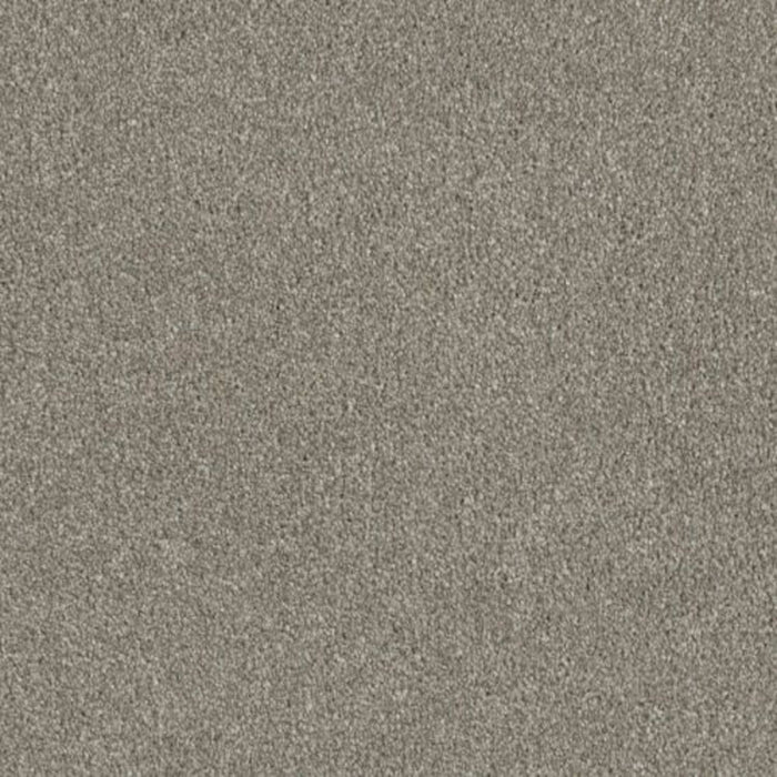 Luxor II in  jet Stream Carpet