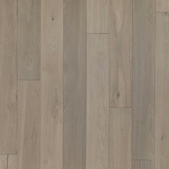 Entrevaux in Rockbridge Oak