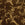 Bark