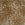 Beige Brown