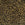 Gold Black
