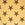 Wheat